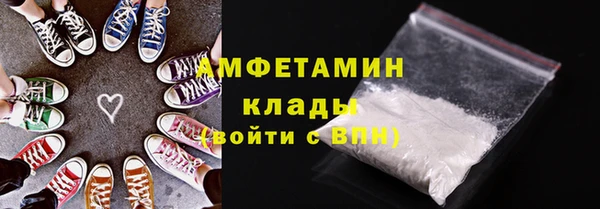 амф Бородино