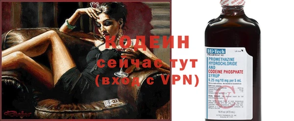 амф Бородино