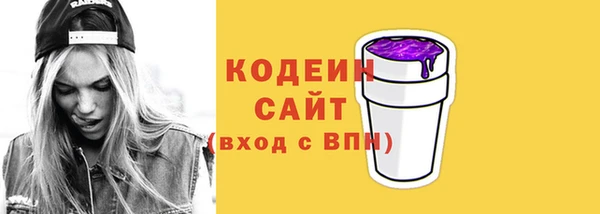 амф Бородино