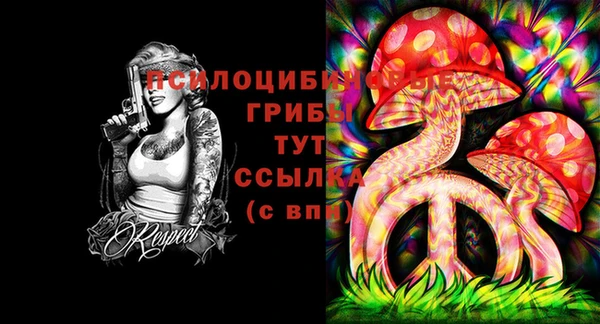 амф Бородино