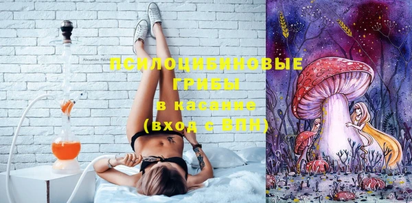 амф Бородино