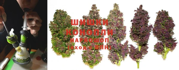 амф Бородино
