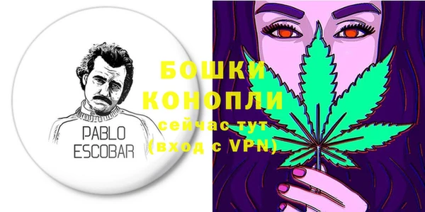амф Бородино