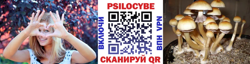 Галлюциногенные грибы GOLDEN TEACHER  Демидов 